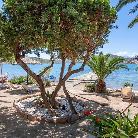 Tsifliki Beach House エロウンダ エクステリア 写真