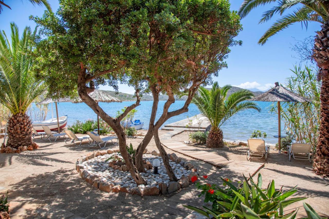 Tsifliki Beach House エロウンダ エクステリア 写真